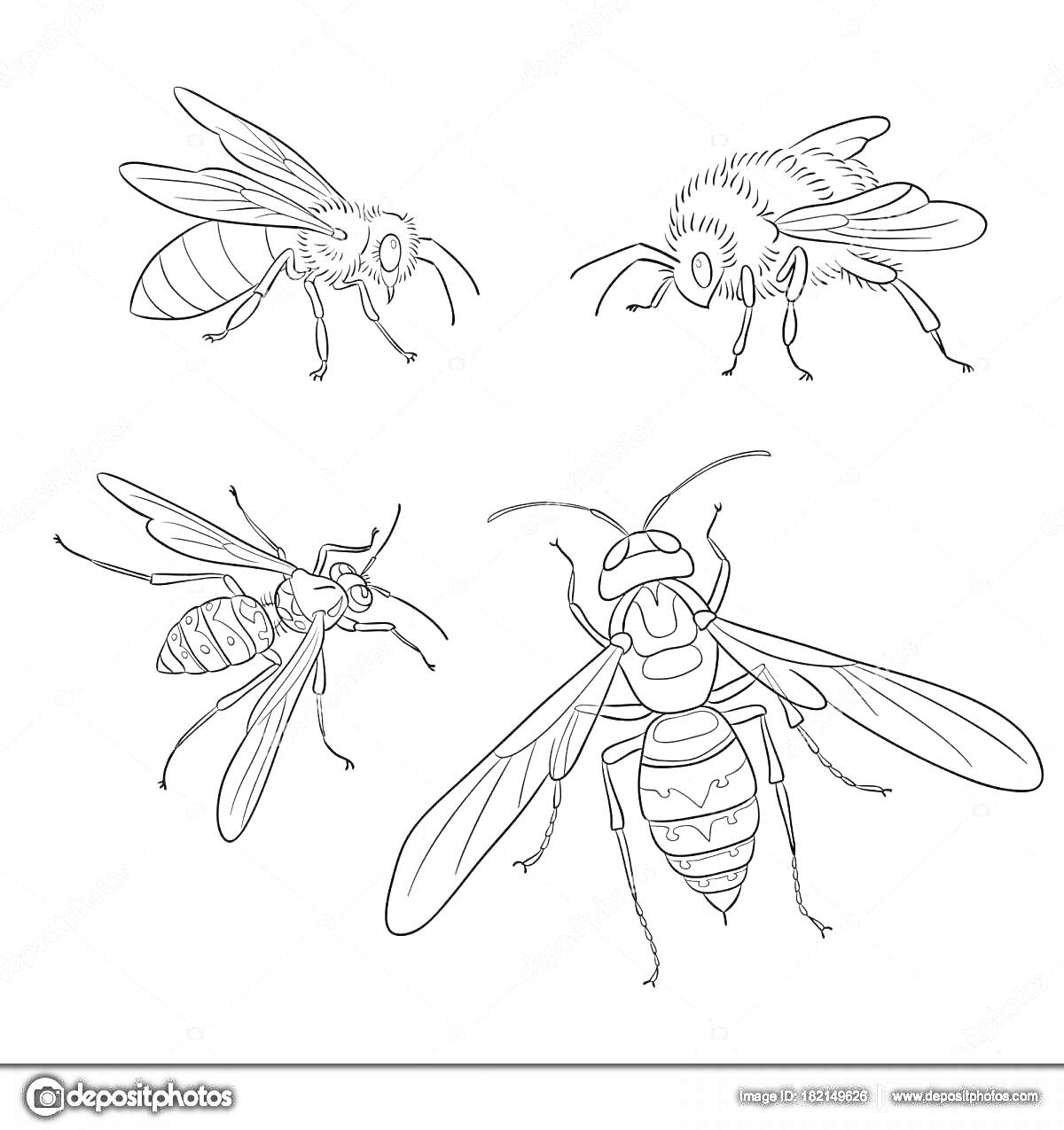 Раскраска Насекомые - пчела, муха, комар, оса (раскраска)