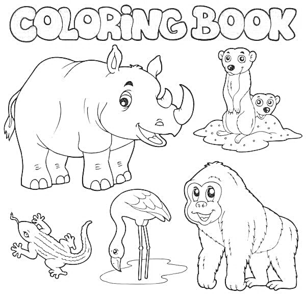 Раскраска Носорог, горилла, фламинго, сурикаты, ящерица на зоопарковой раскраске для детей