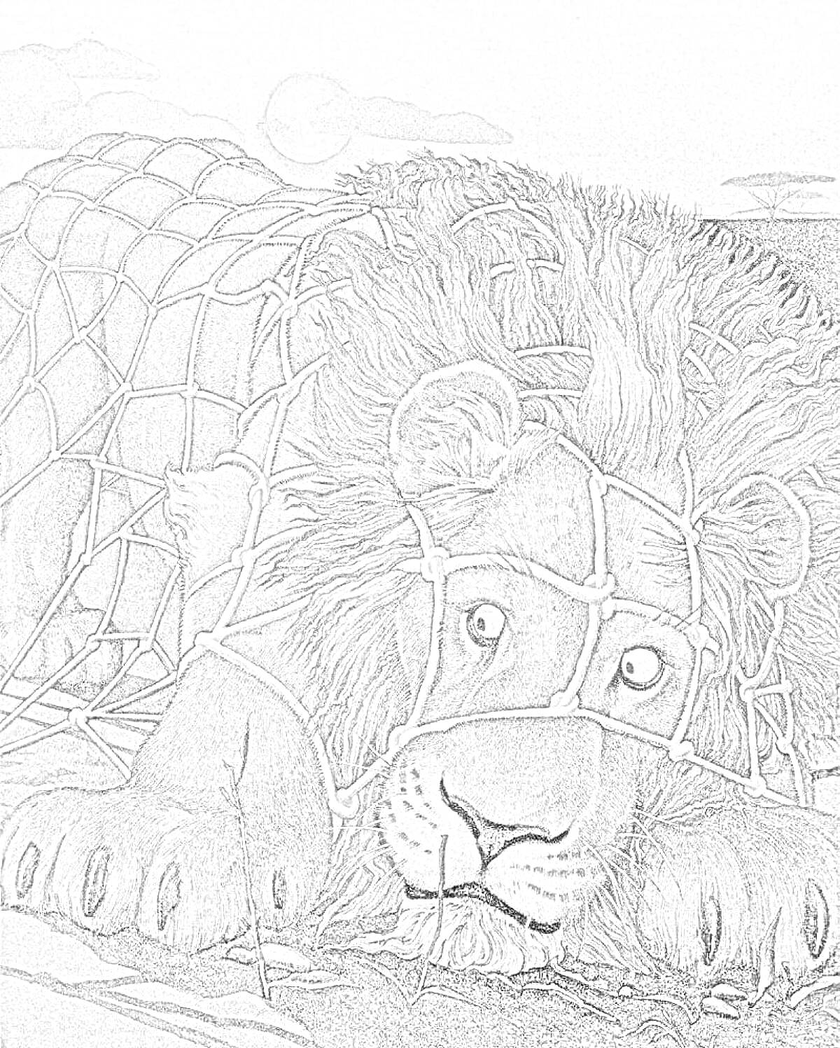 На раскраске изображено: Лев, Мышь, Сетка, Саванна, Природа, Дружба, Помощь, Борьба, Животные