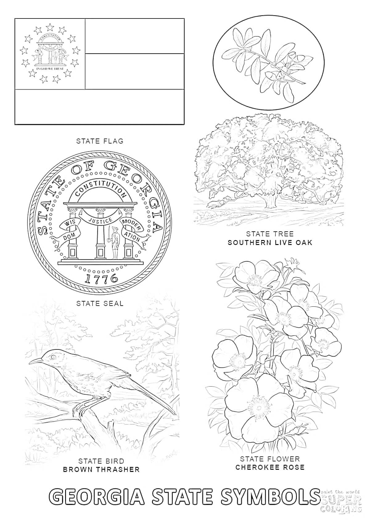 Раскраска Символы штата Джорджия. На изображении присутствуют: флаг штата Джорджия, печать штата Джорджия, дерево штата Джорджия - южный живой дуб, птица штата Джорджия - бурый пересмешник и цветок штата Джорджия - роза чероки.