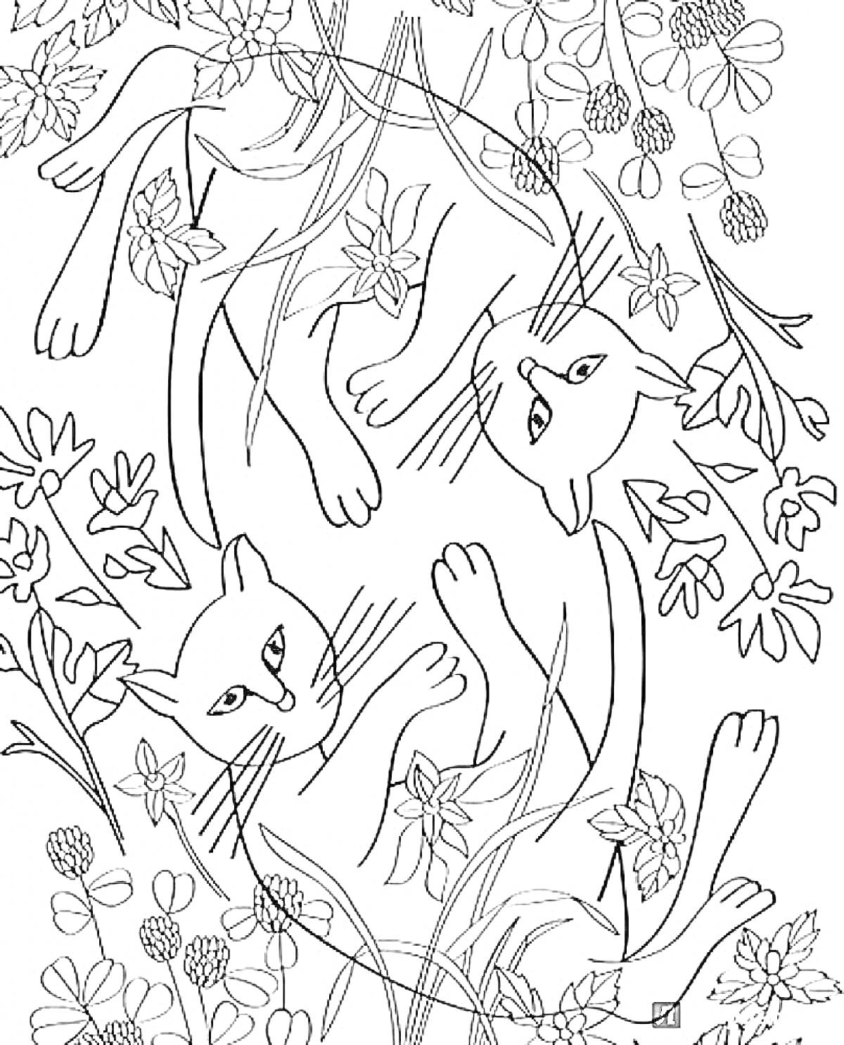 Раскраска Два кота среди цветов и трав