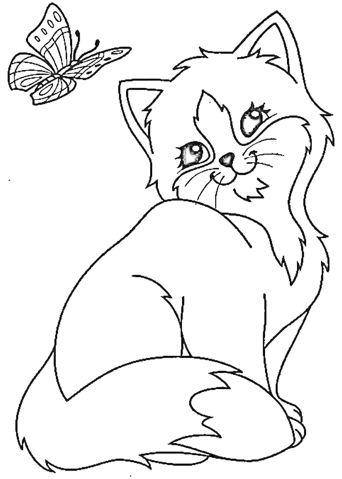 Раскраска Котик с бабочкой