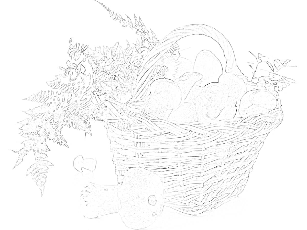 Раскраска Корзина с еловыми шишками, листва и грибом на переднем плане