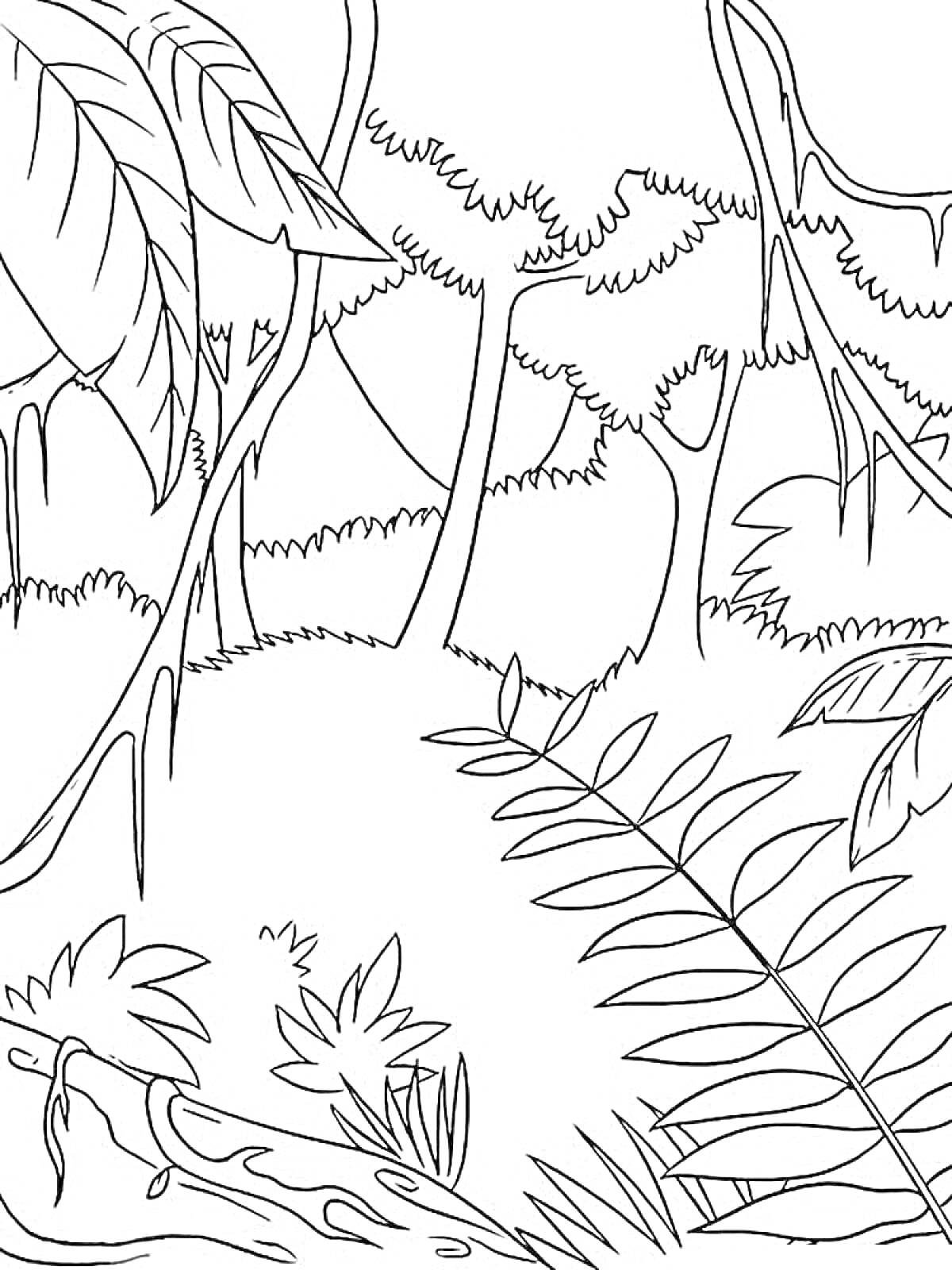 На раскраске изображено: Джунгли, Деревья, Лианы, Листья, Кусты, Природа, Лес