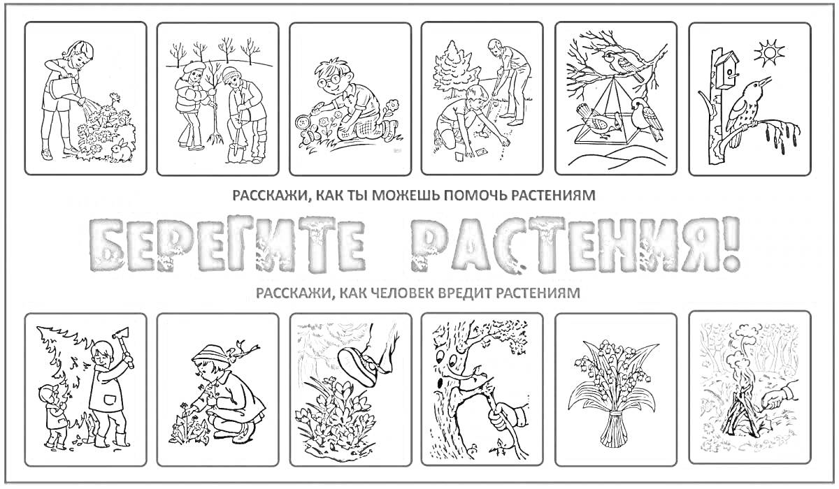 На раскраске изображено: Растения, Защита природы, Лес, Загрязнение, Мусор, Посадка деревьев, Полив растений