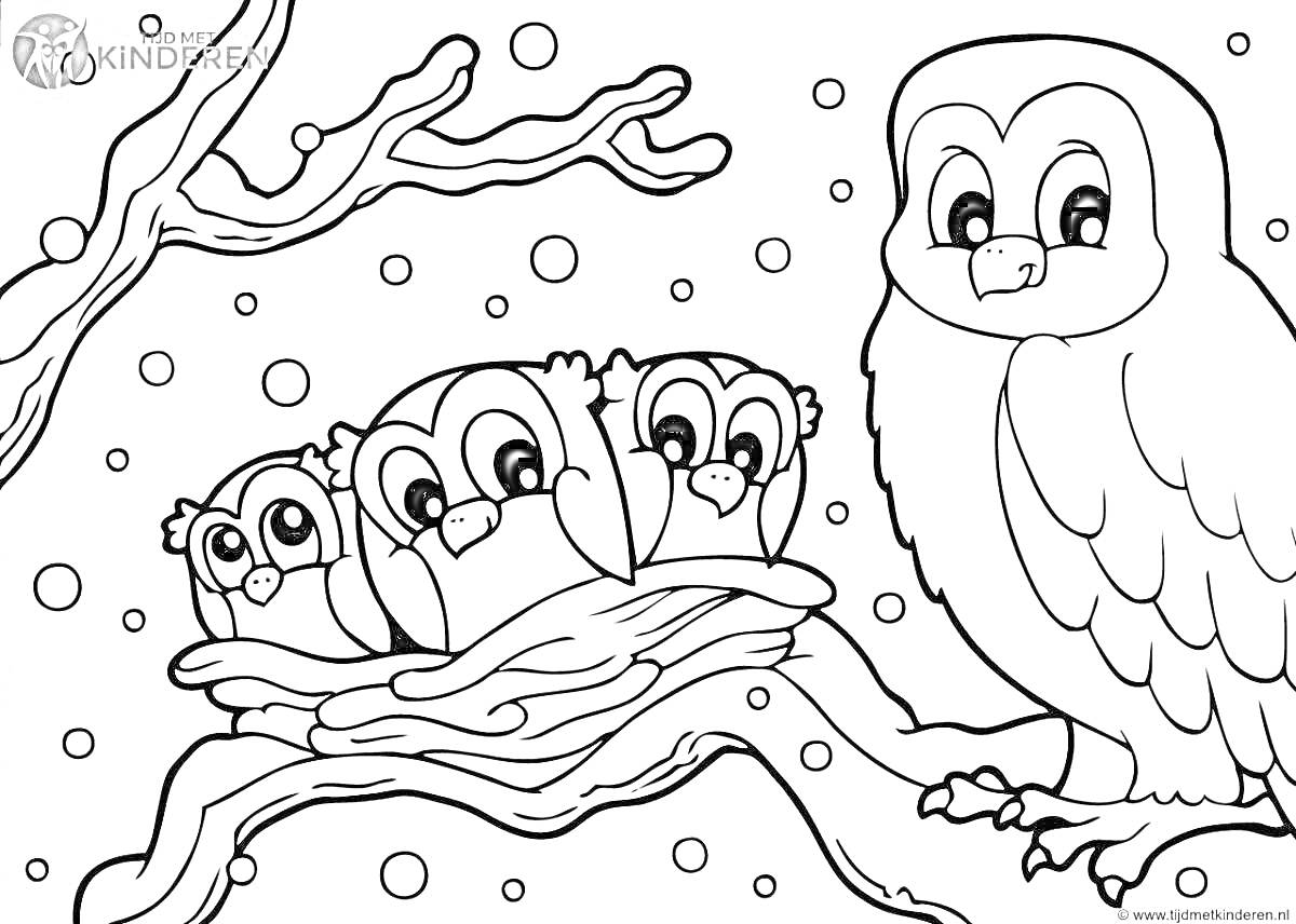 На раскраске изображено: Сова, Гнездо, Ветка, Снег, Зима, Для детей