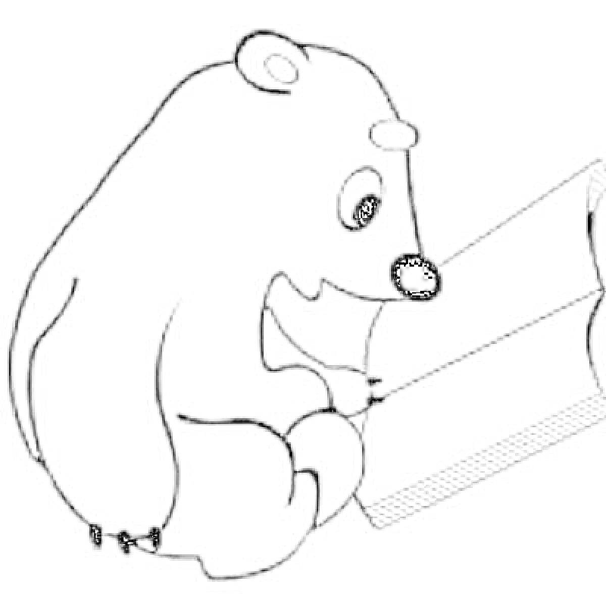 Раскраска Медвежонок читает книгу