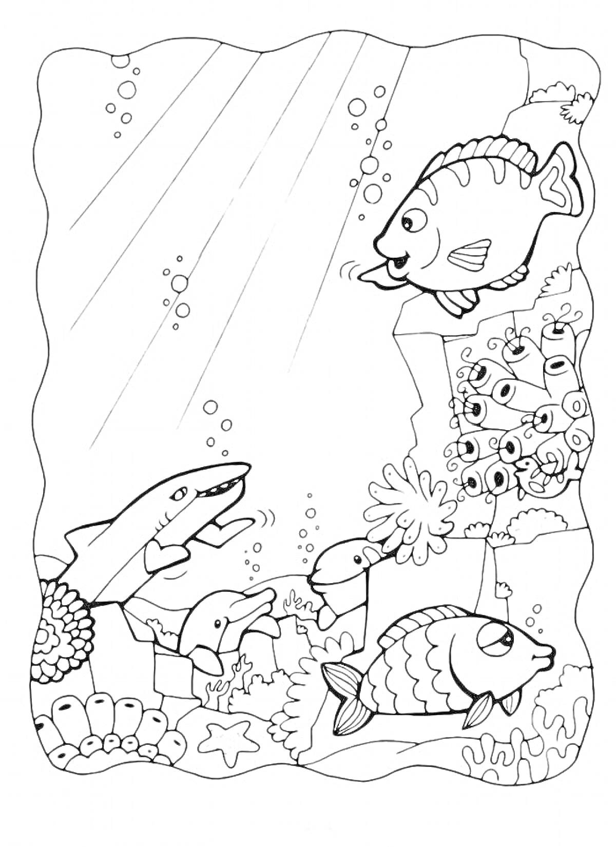 На раскраске изображено: Подводный мир, Дельфины, Кораллы, Водоросли, Подводные растения, Море, Рыба, Океаны, Морские звезды, Морские животные