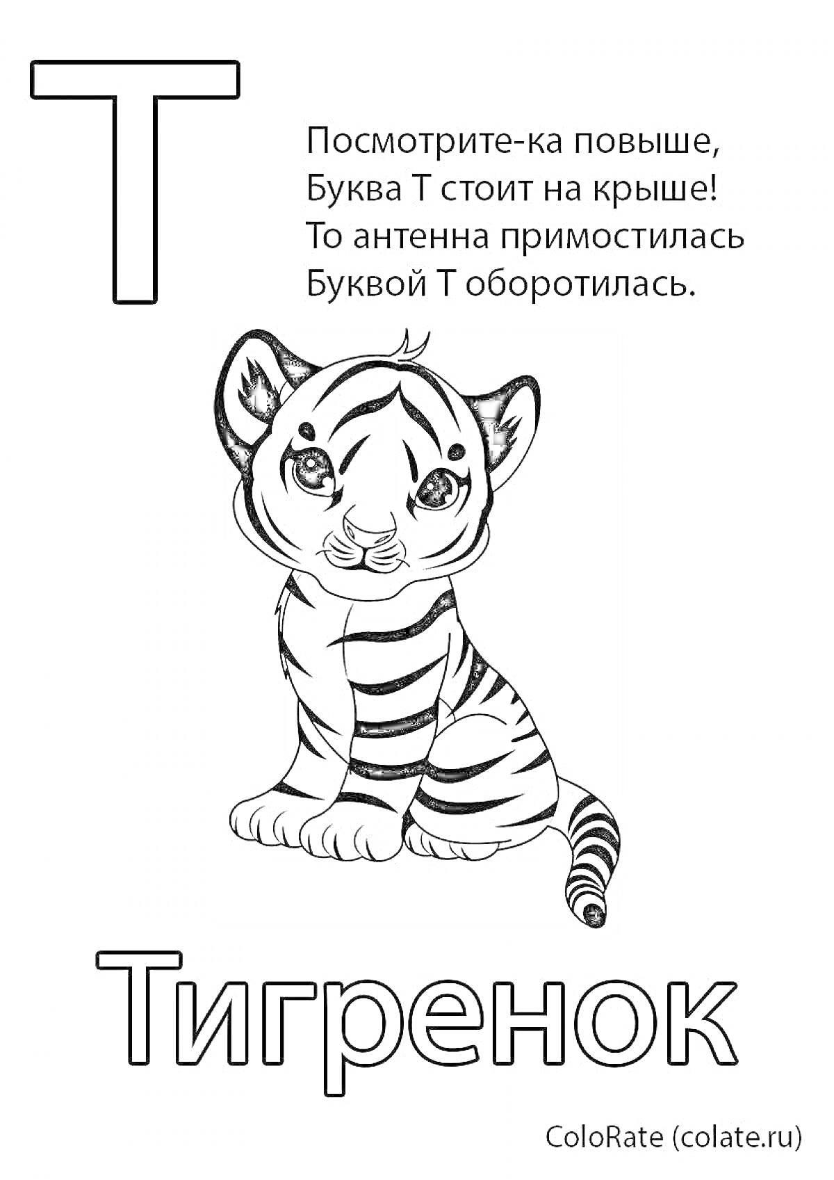 На раскраске изображено: Буква Т, Алфавит, Животные, Учим буквы, Обучение, Дошкольники, Тигр