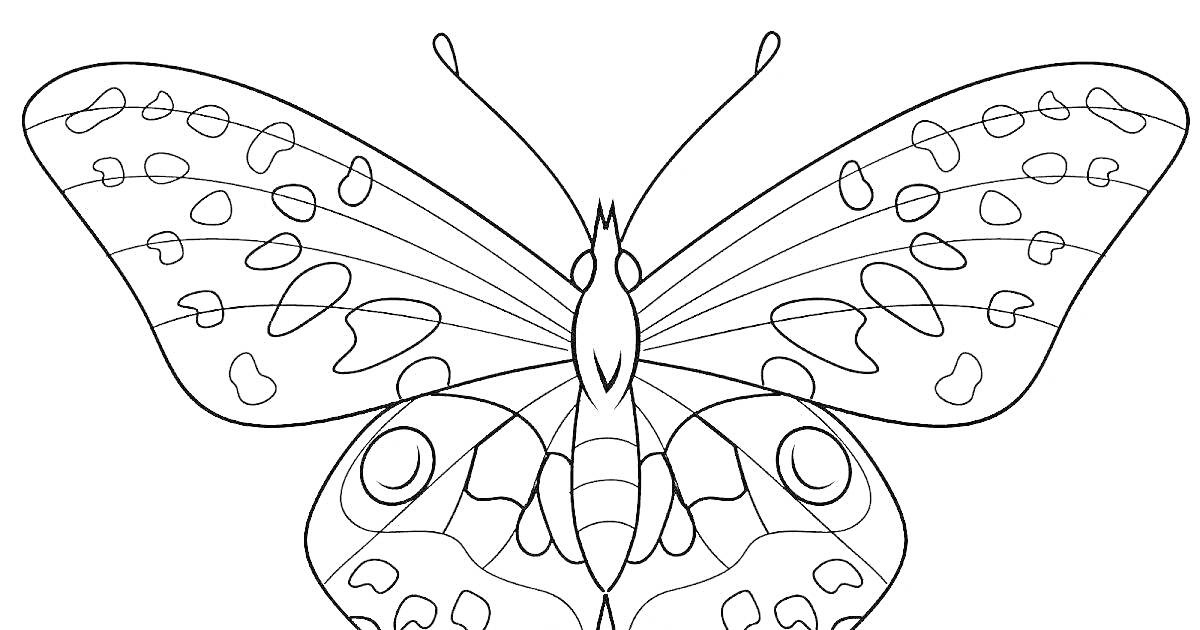 Раскраска Раскраска с бабочкой с узорчатыми крыльями, антеннами и телом с деталями