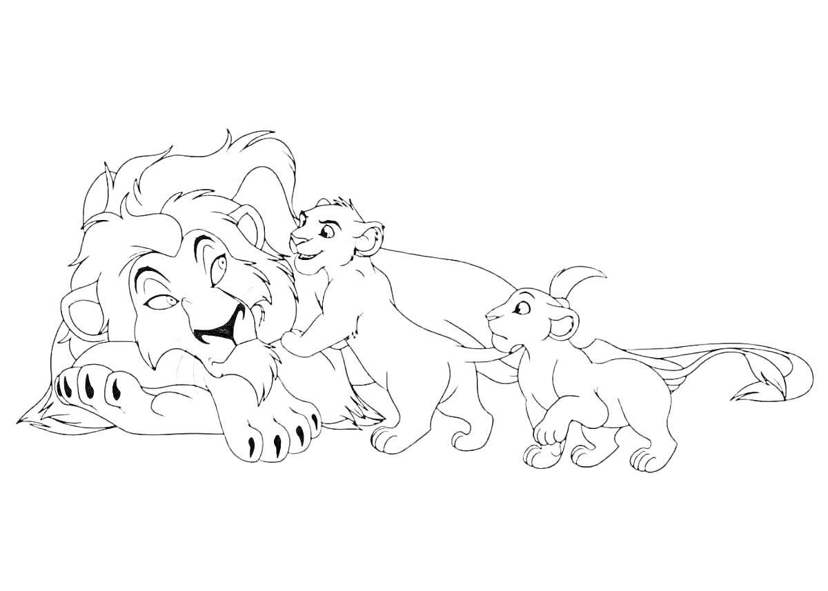 На раскраске изображено: Лев, Грива, Животные, Семья, Детеныши