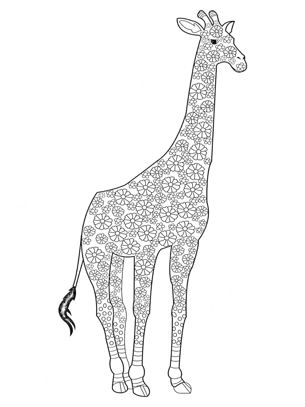 Раскраска Жираф с цветочным узором