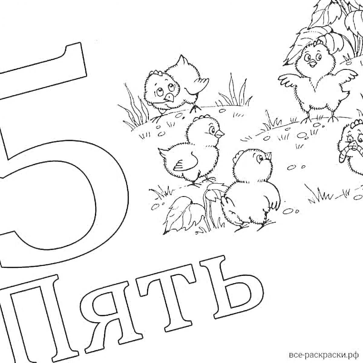 На раскраске изображено: Цифра 5, Цыплята, Трава, Природа, Растения
