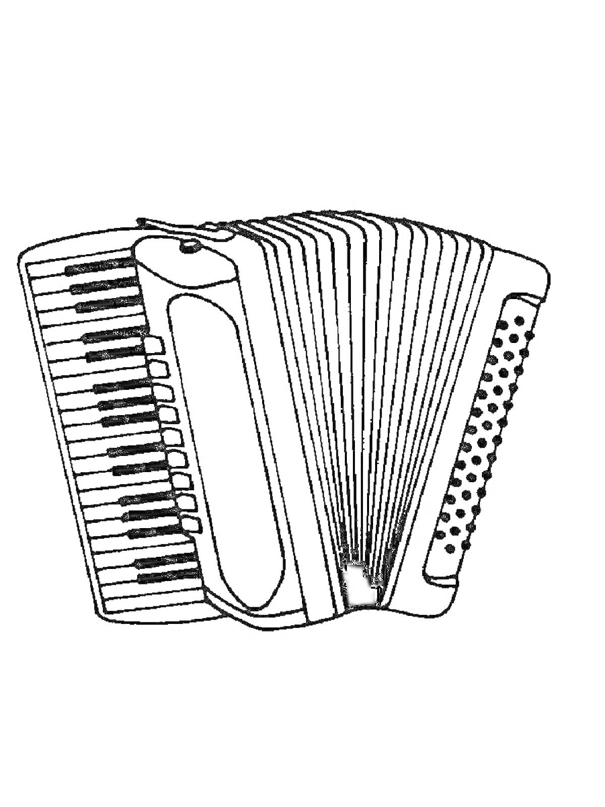На раскраске изображено: Музыка, Инструмент, Клавиши, Кнопки, Меха