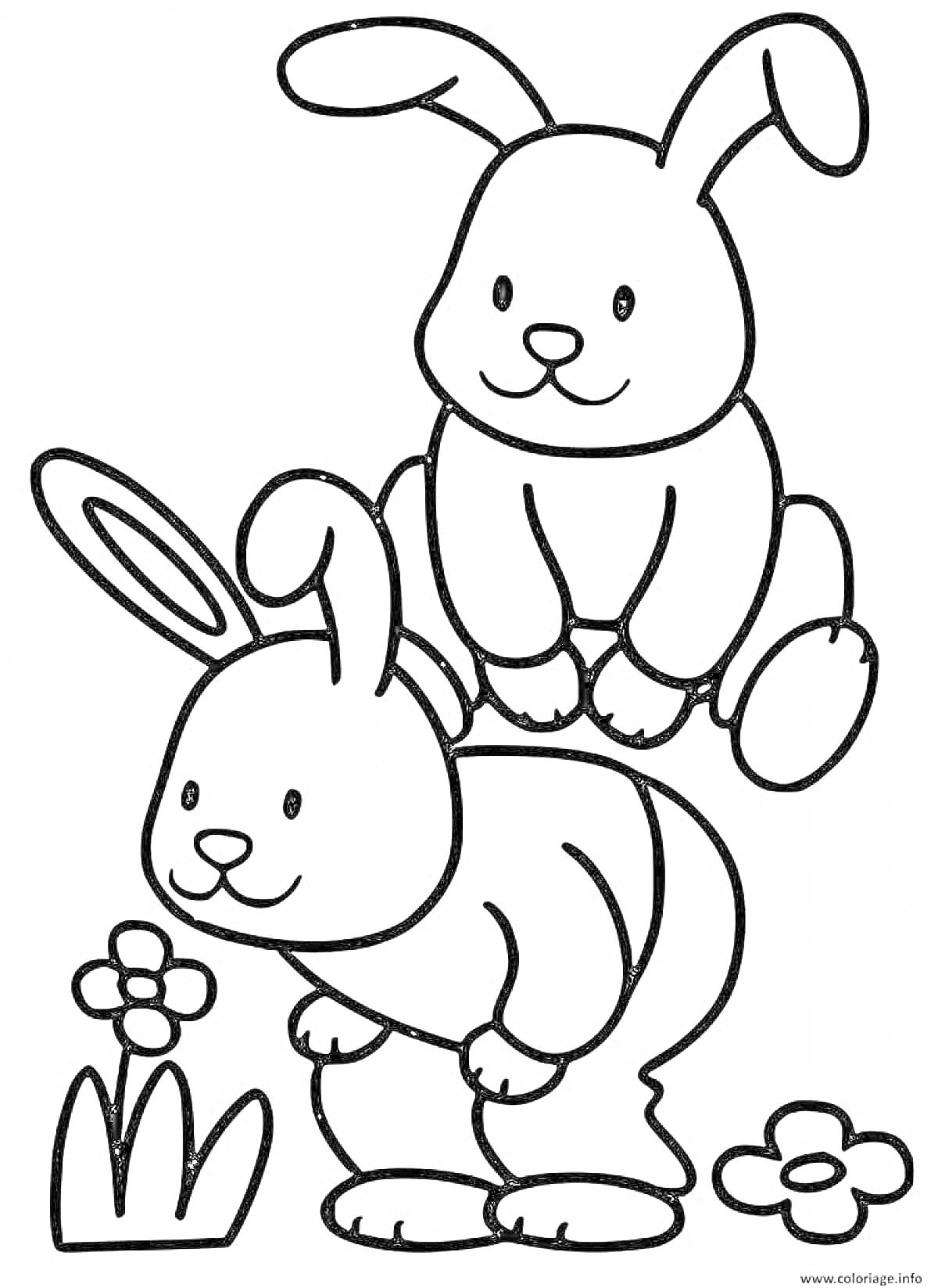 Раскраска Два зайчика играют на лужайке с цветами