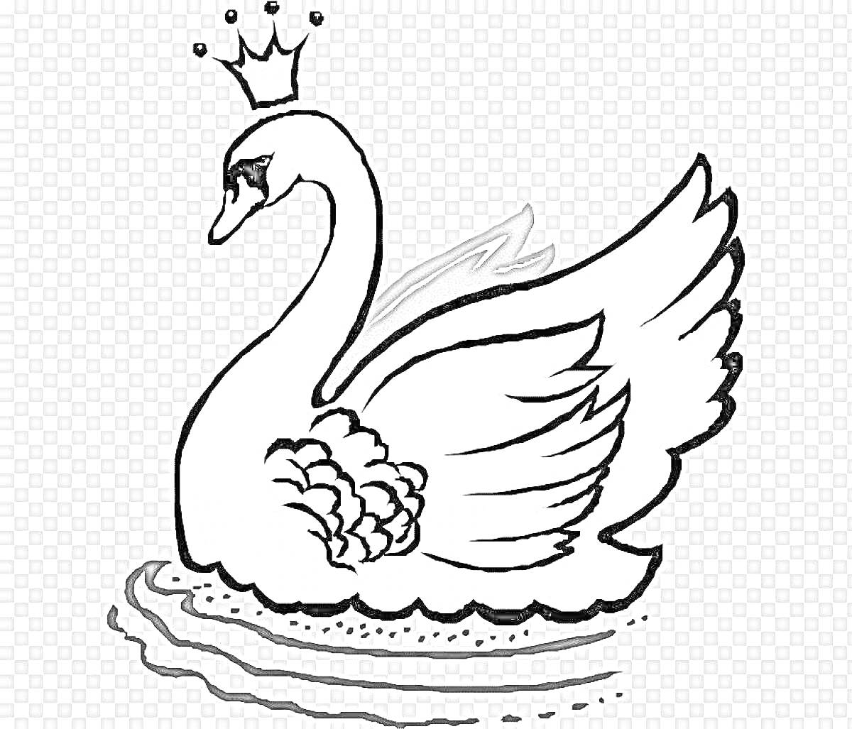 Раскраска Царевна-лебедь с короной, плавающая в воде