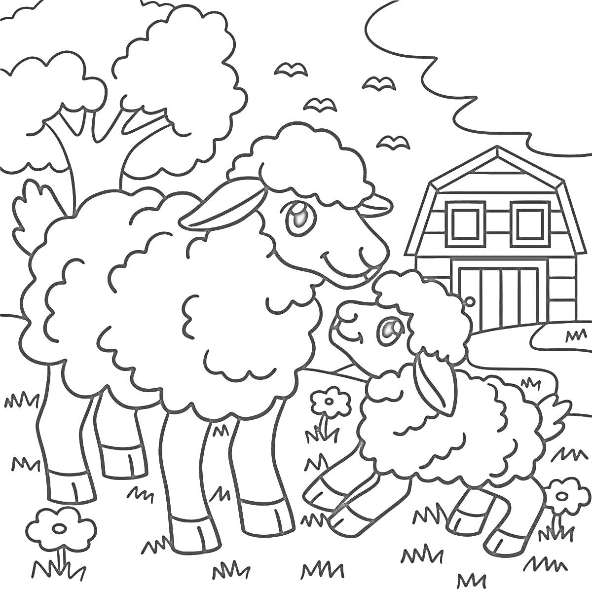 На раскраске изображено: Овечки, Ферма, Домик, Цветы, Небо, 4 года, 5 лет