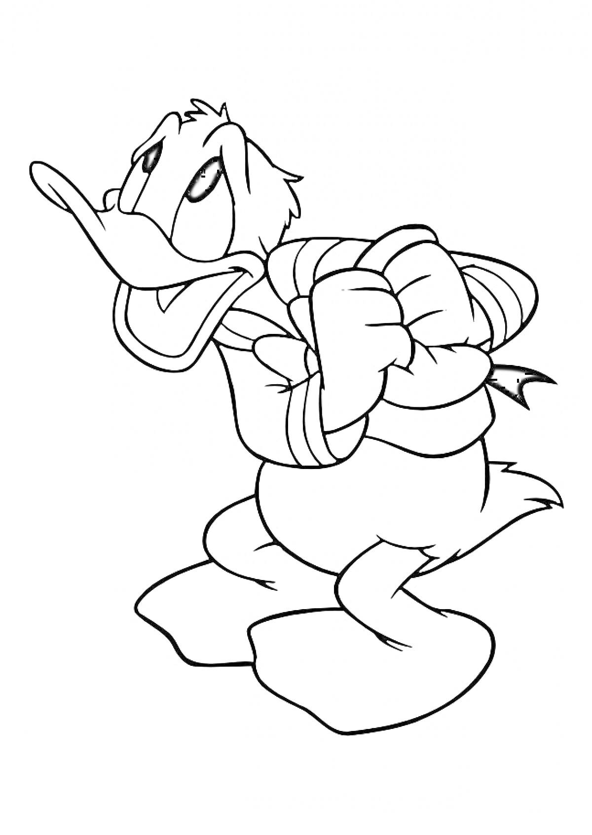Раскраска Дональд Дак в морской тельняшке с поднятыми в гневном жесте руками