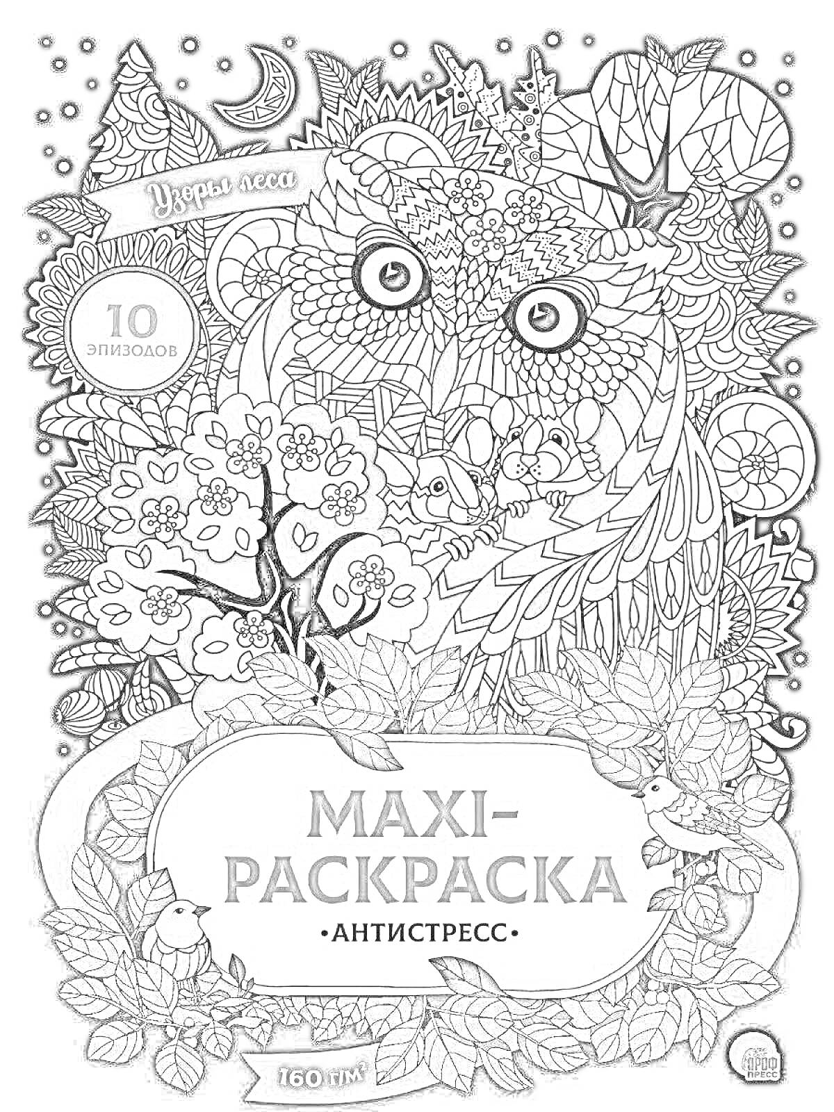 Раскраска MAXI-РАСКРАСКА АНТИСТРЕСС. Узоры леса. Сова, деревья, цветы, птицы, листья, ночное небо, луна