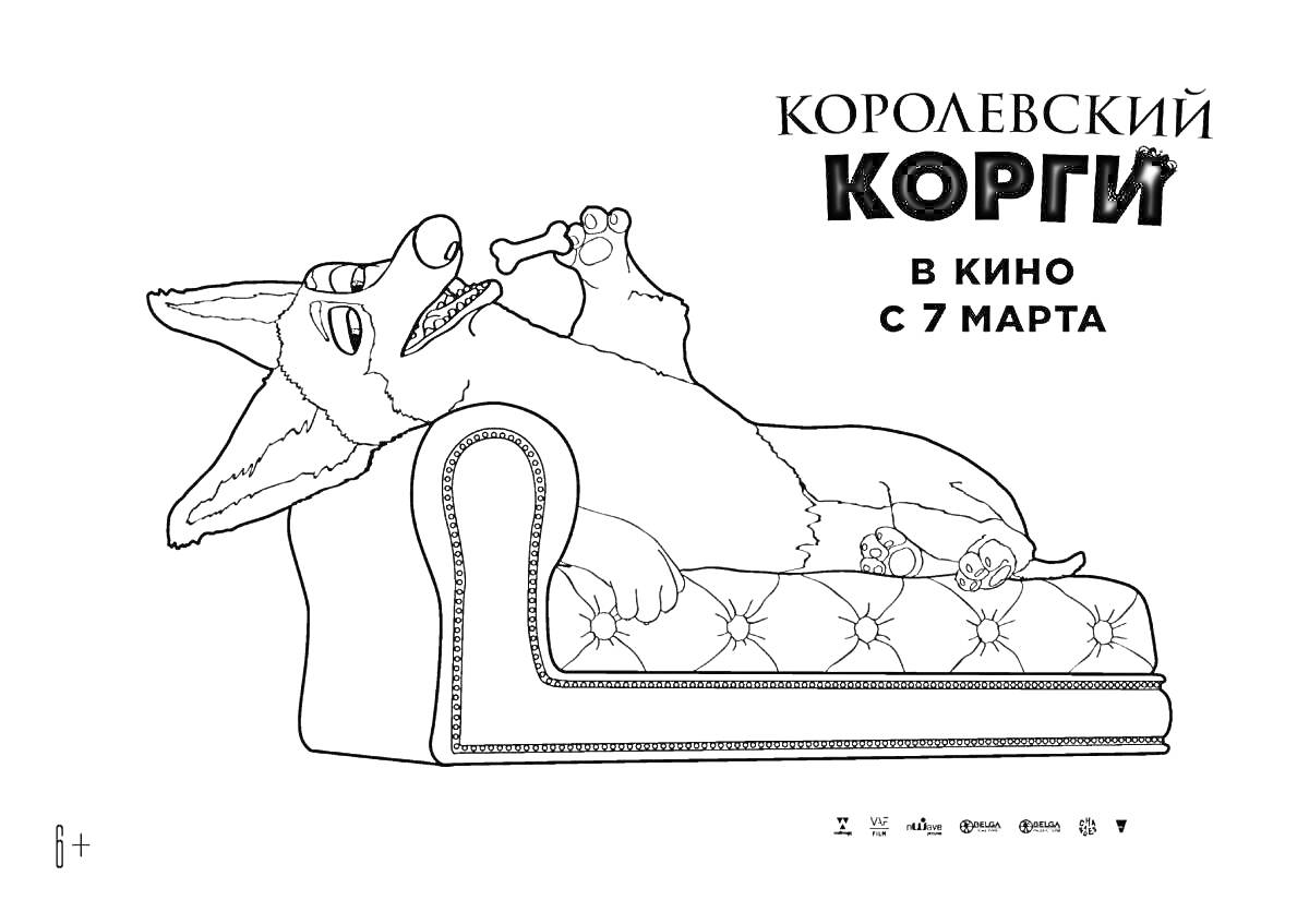 Раскраска королевский корги, сидящий на диване и грызущий кость