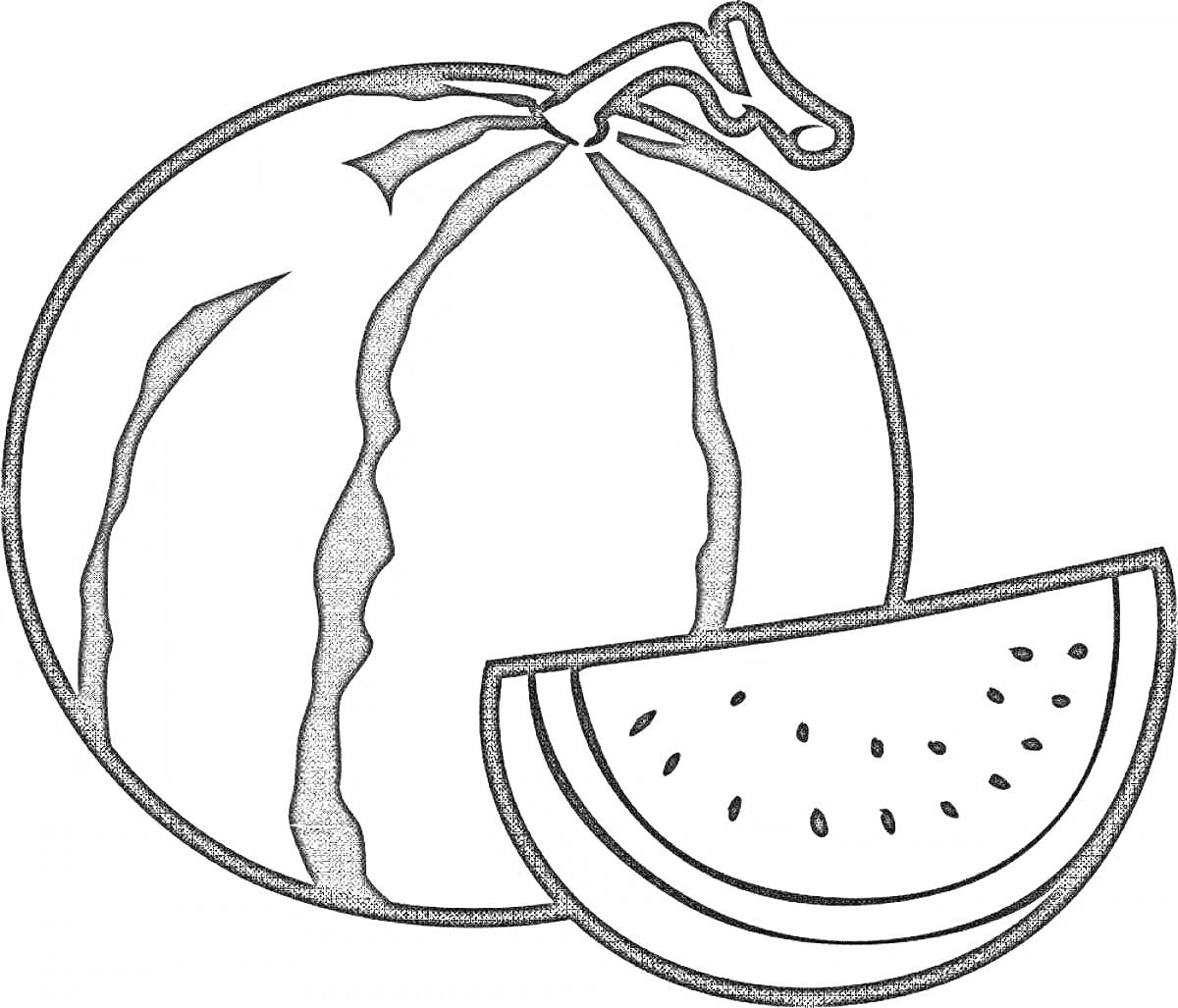 На раскраске изображено: Арбуз, Долька, Еда, Лето