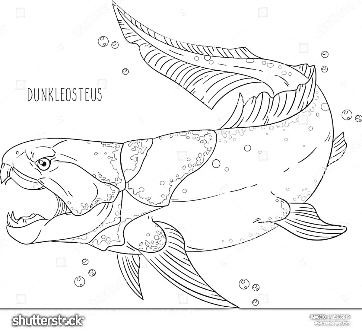 На раскраске изображено: Дунклеостей, Плавники, Челюсти