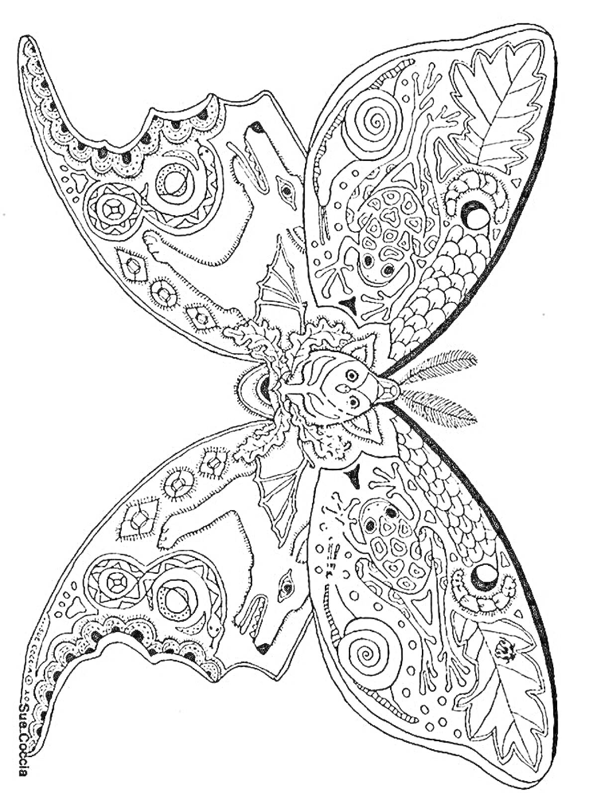 Раскраска Бабочка с узорами и геометрическими элементами