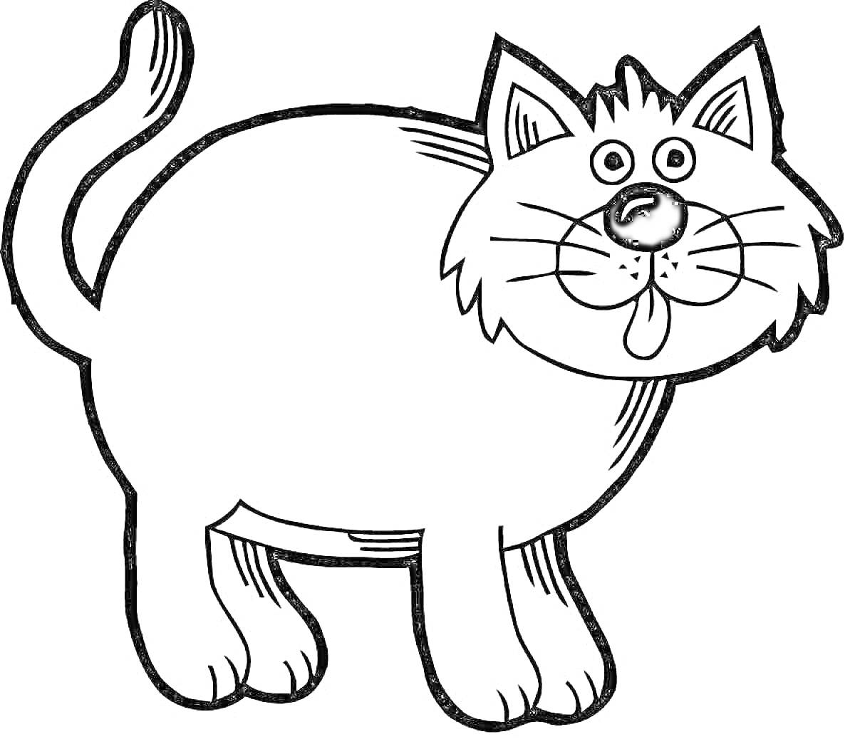 Раскраска Круглая кошка с высунутым языком
