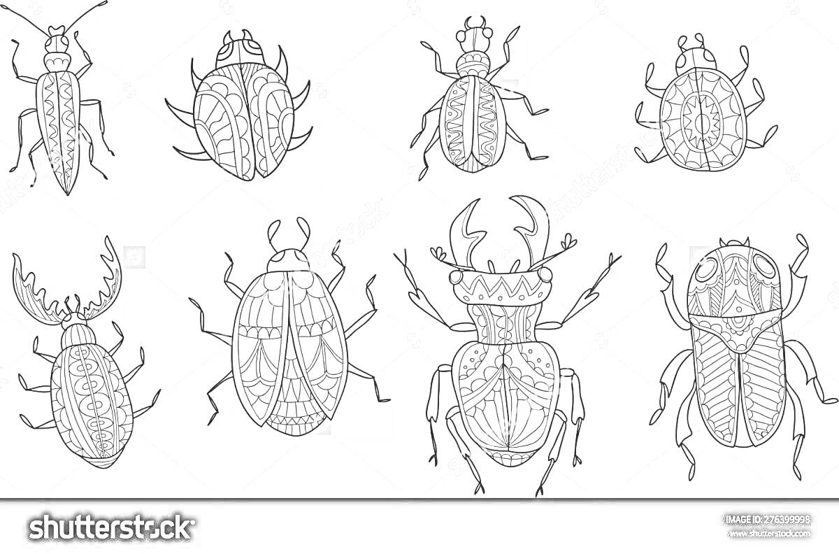 Раскраска Восемь различных жуков с орнаментами