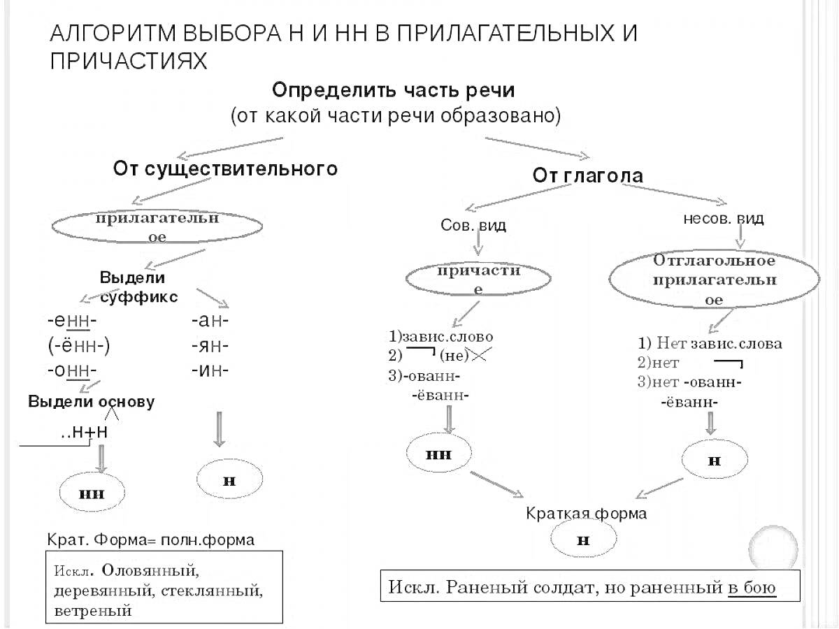  Алгоритм выбора Н и НН в прилагательных и причастиях. Определение части речи (от какой части речи образовано). От существительного. От глагола. Краткая форма. Примеры.