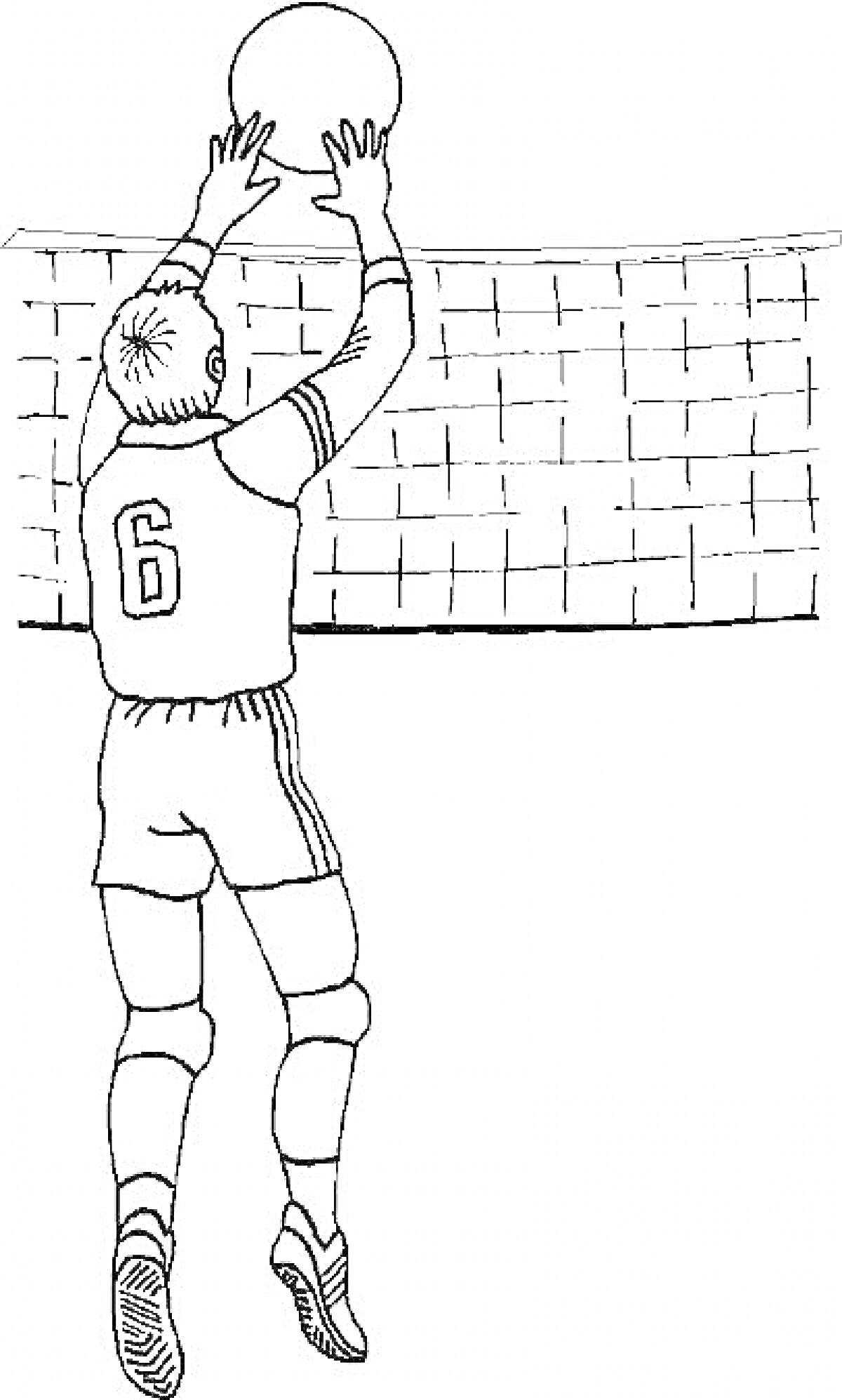 Раскраска Волейболист у сетки с мячом