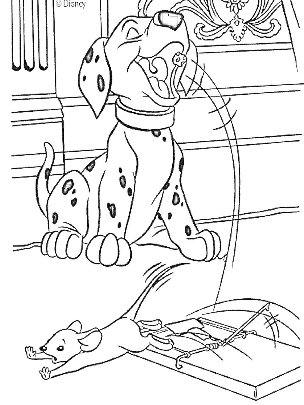 Раскраска Щенок с ошейником лает рядом с мышеловкой и убегающей мышью