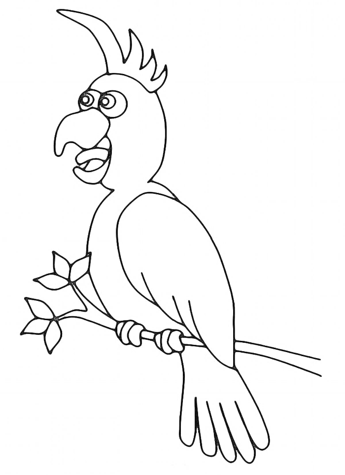 Раскраска Попугай с хохолком на ветке