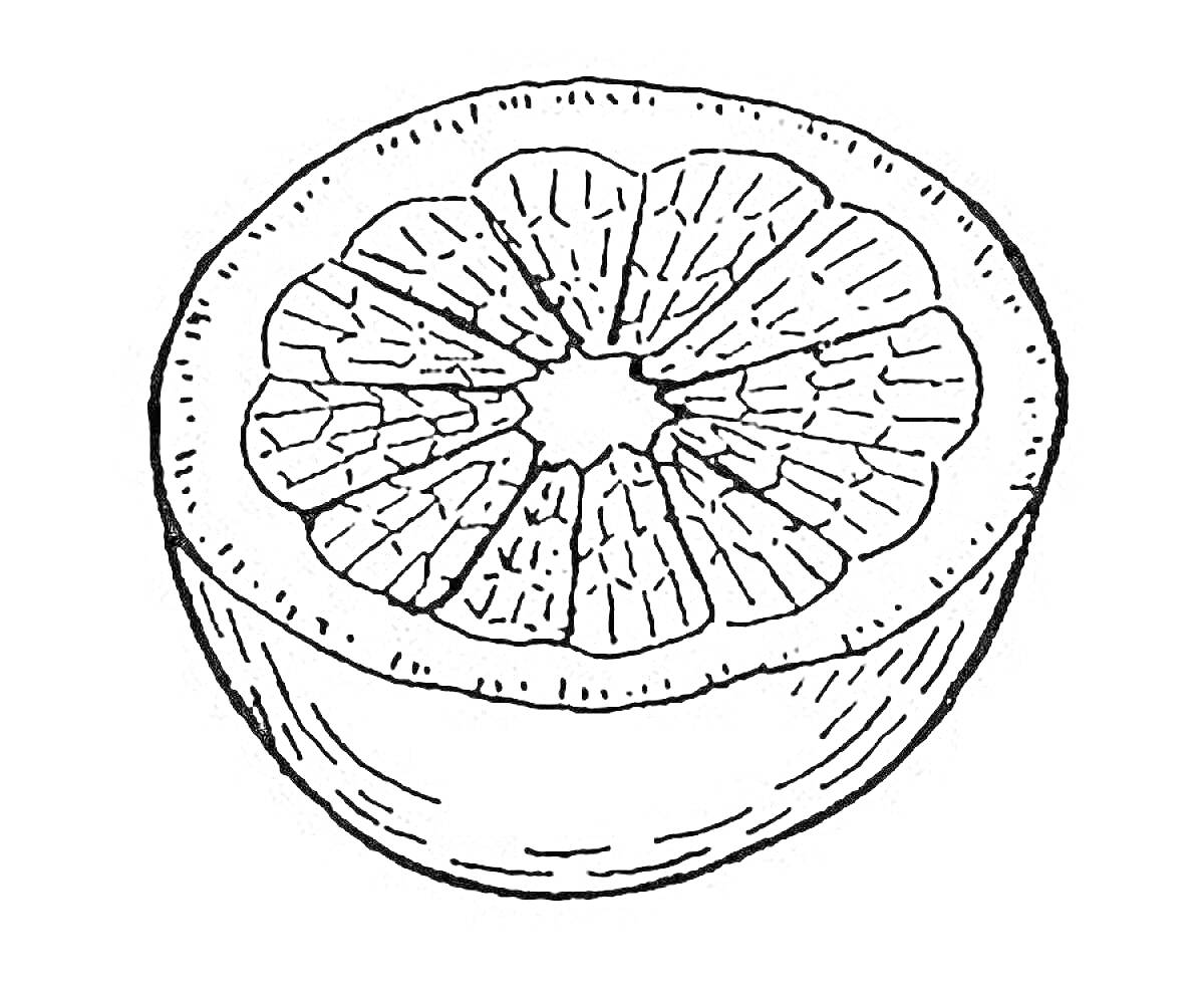 Раскраска Грейпфрут, разрезанный пополам