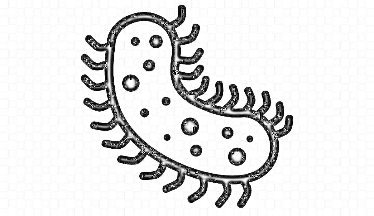 На раскраске изображено: Бактерия, Микроорганизм, Пятна, Реснички, Микробиология
