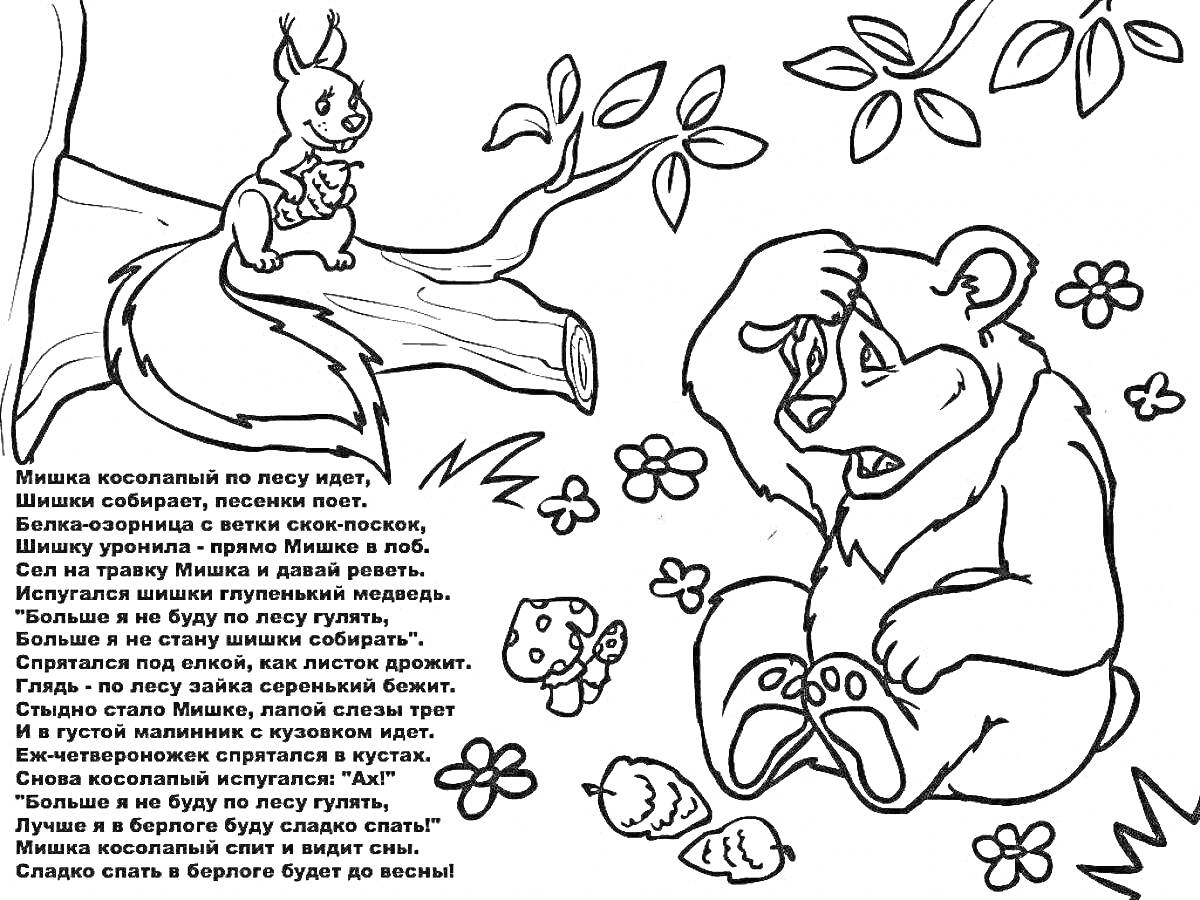 Раскраска Мишка косолапый и белка на дереве, текст стихотворения, цветы, грибы, сосновые шишки