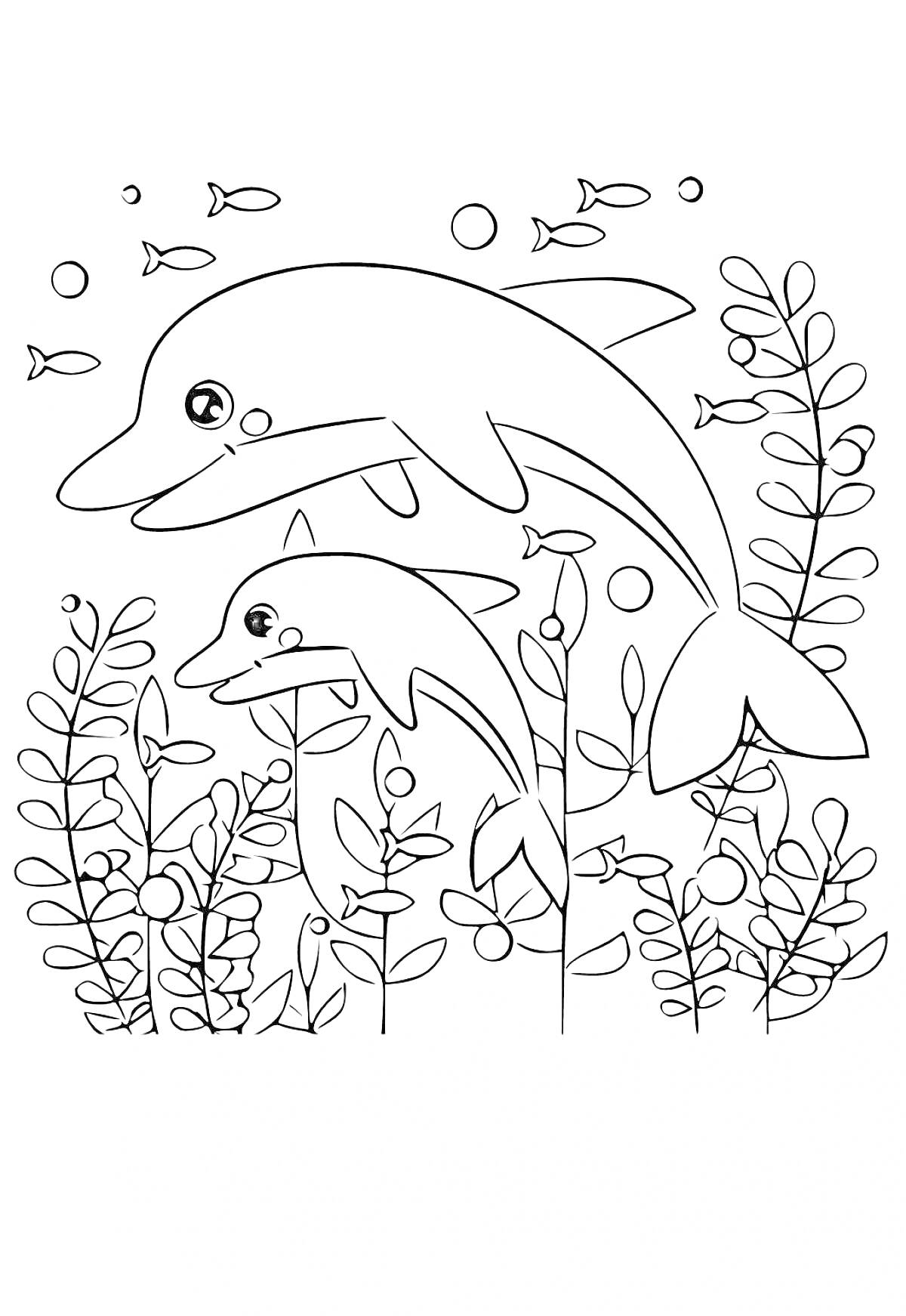 На раскраске изображено: Дельфины, Море, Водоросли, Для детей, Подводный мир, Пузыри, Морская жизнь, Рыба