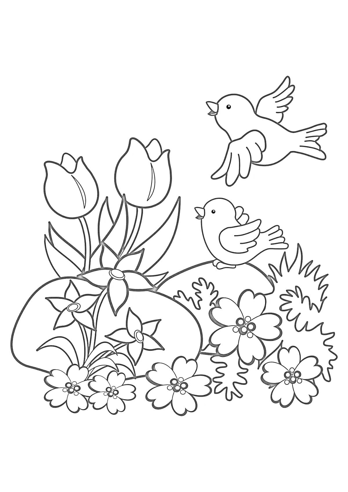 На раскраске изображено: Весна, Цветы, Тюльпаны, Природа, Для детей, Весенние цветы, Листья, Сад