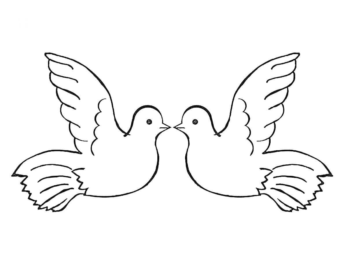 Раскраска Два голубя, смотрящие друг на друга, с расправленными крыльями.