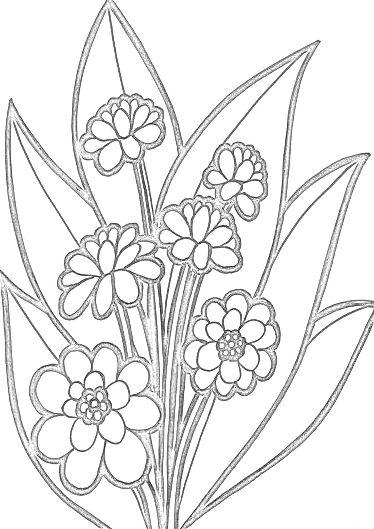 Раскраска Цветок с несколькими распустившимися бутонами и листьями