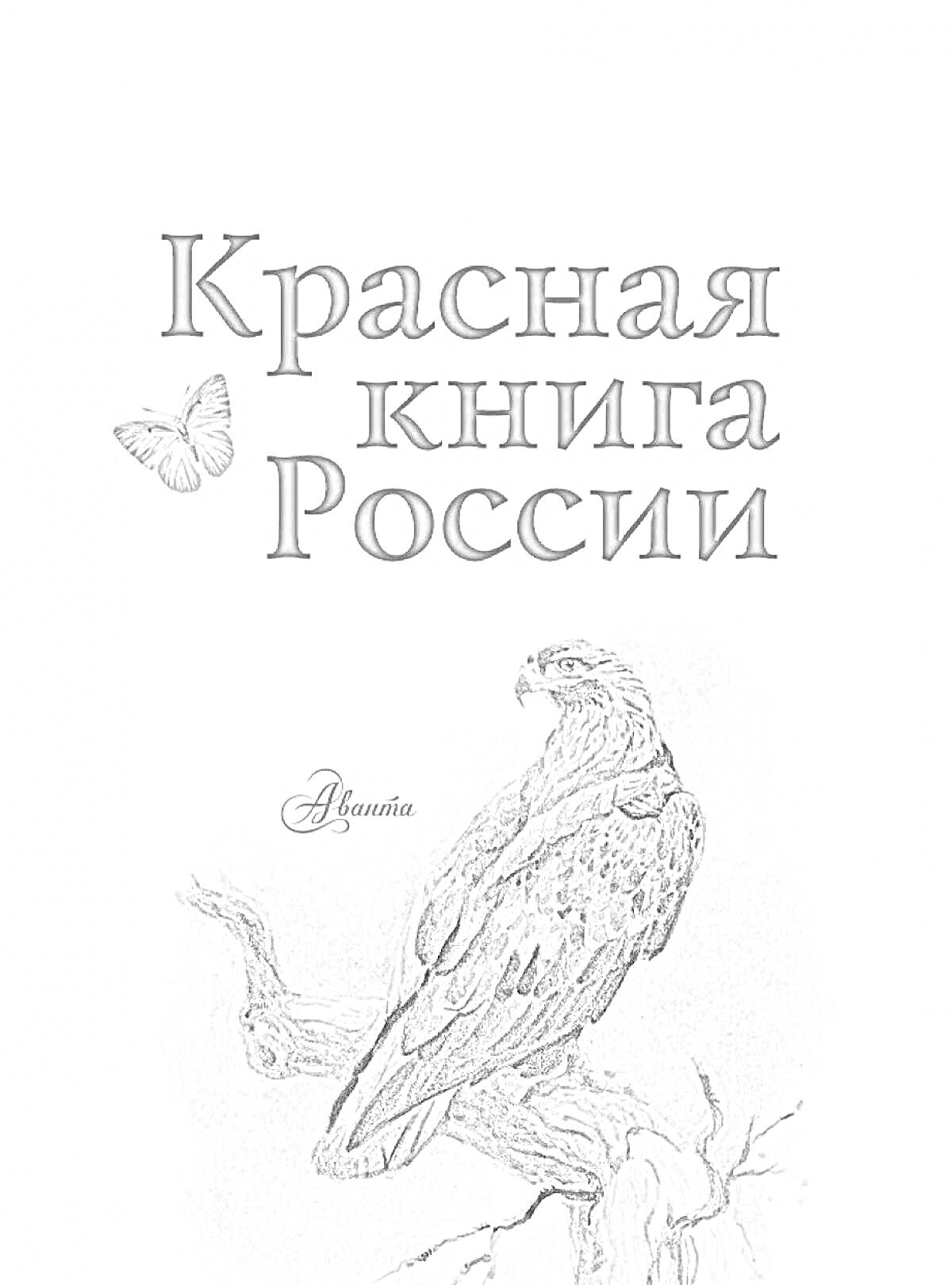 На раскраске изображено: Красная книга, Россия, Орел, Бабочка, Природа, Животные, Растения, Экология, Охрана природы, Иллюстрация