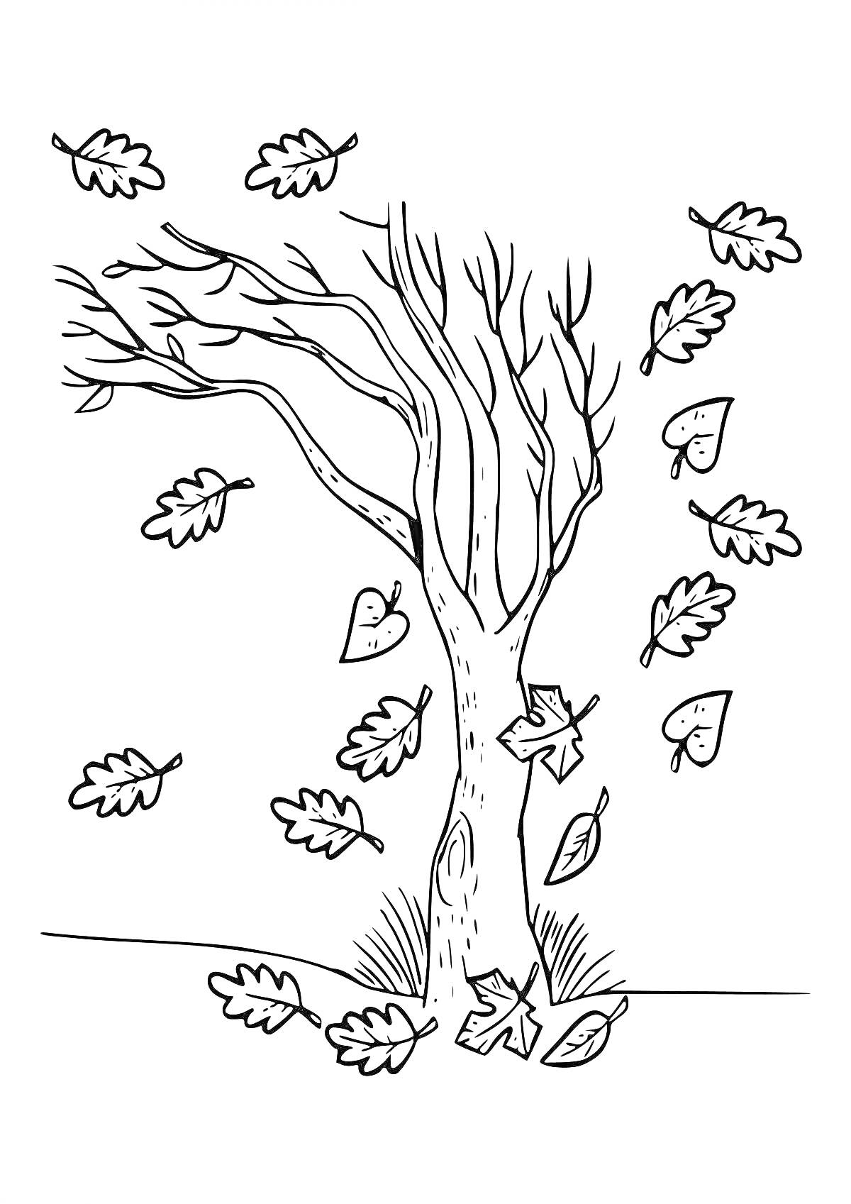Раскраска Осеннее дерево с падающими листьями