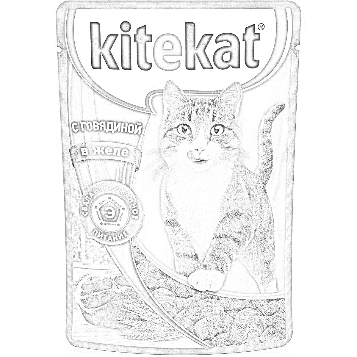 Раскраска Упаковка корма для кошек Kitekat с говядиной в желе, изображение кошки