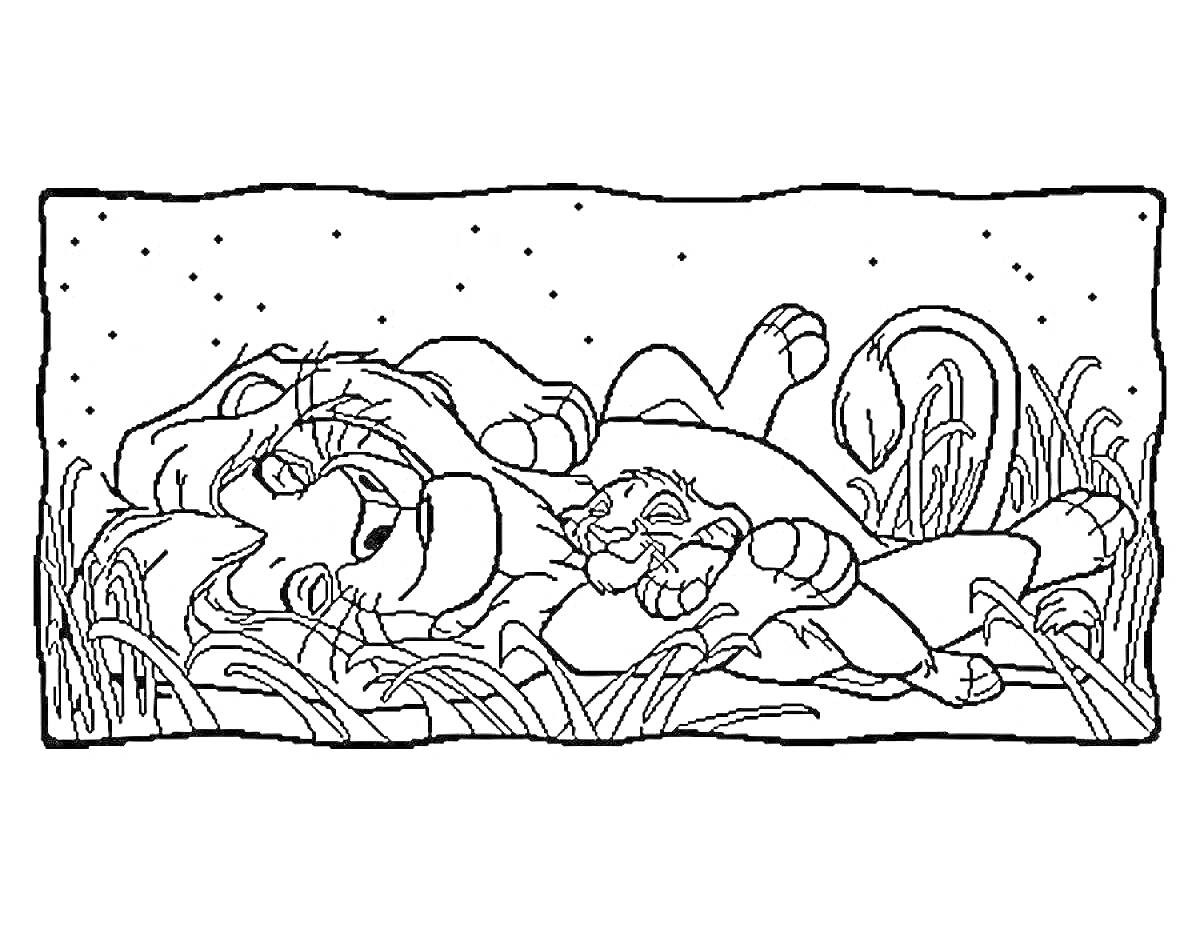Раскраска Лев и львенок отдыхают в траве под звездным небом