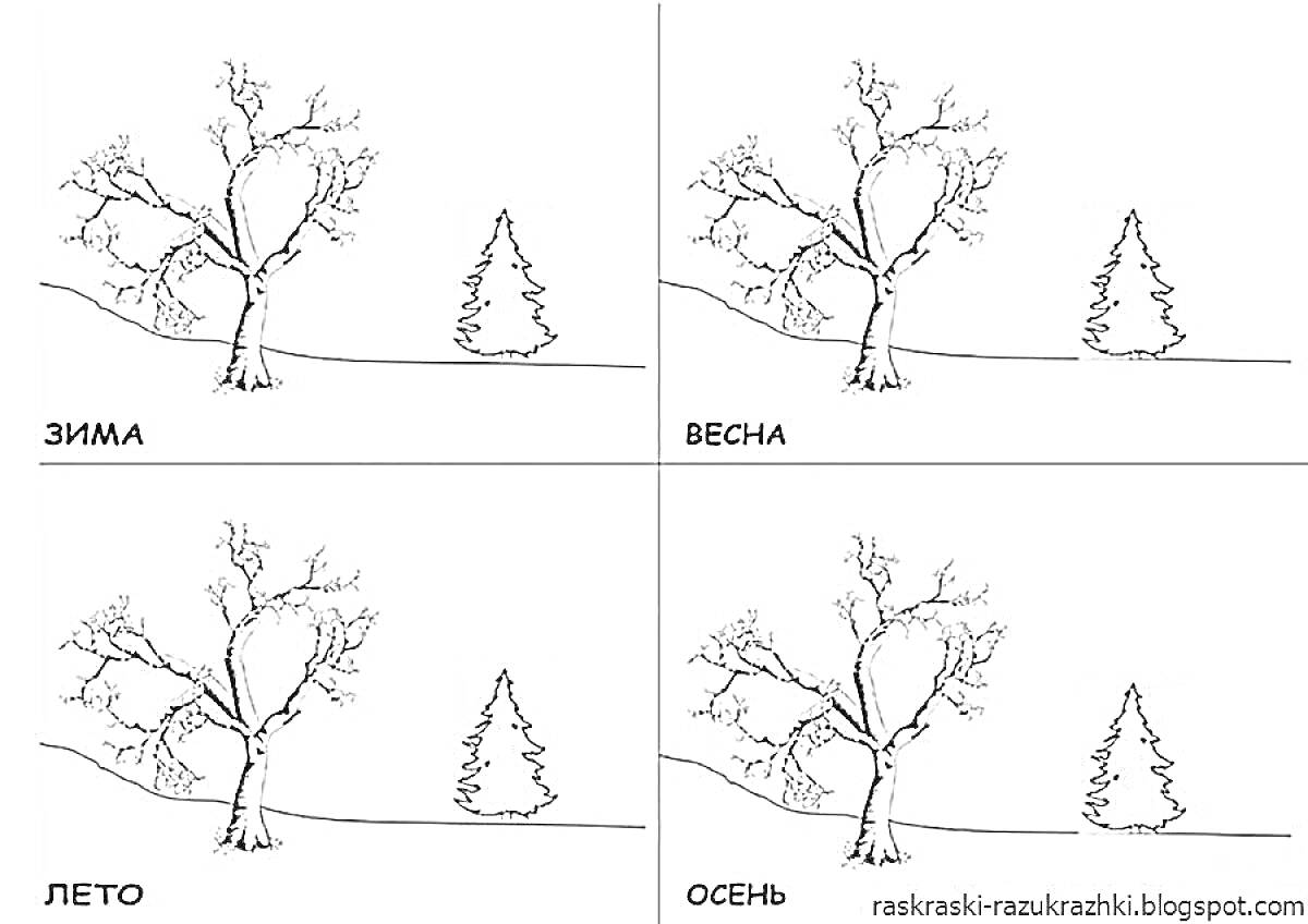 Раскраска Дерево и ёлка в разные времена года: зима, весна, лето, осень