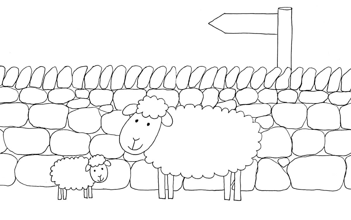 Раскраска овечки перед каменной стеной с указателем