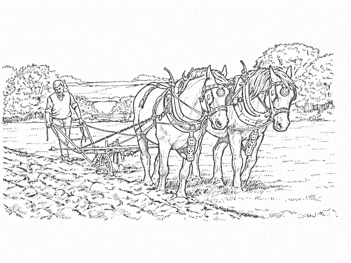 Раскраска Фермер, запряженные лошади и плуг на поле