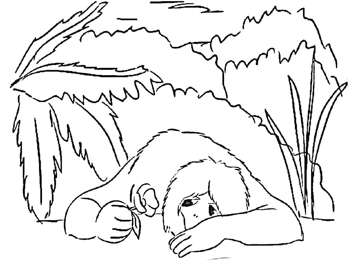 Раскраска Лежащий человек с цветком на фоне леса