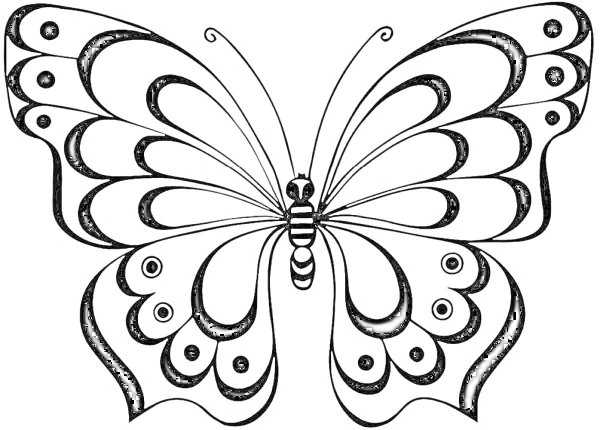 На раскраске изображено: Бабочка, Крылья, Симметрия, Узоры, 3D, Контурные рисунки