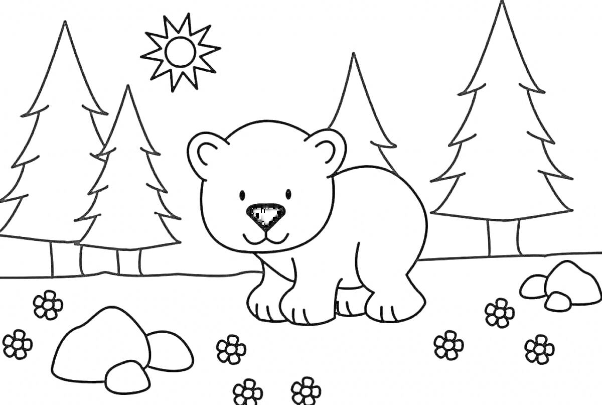Раскраска Медвежонок на природе